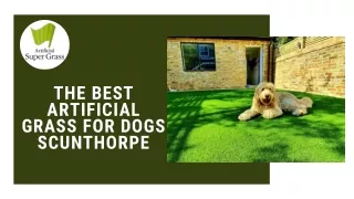 Scunthorpe's Best Artificial Grass For Dogs