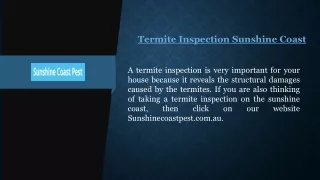 Termite Inspection Sunshine Coast  Sunshinecoastpest.com.au