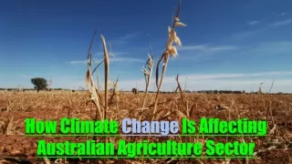 How Climate Change Is Affecting Australian Agriculture Sector