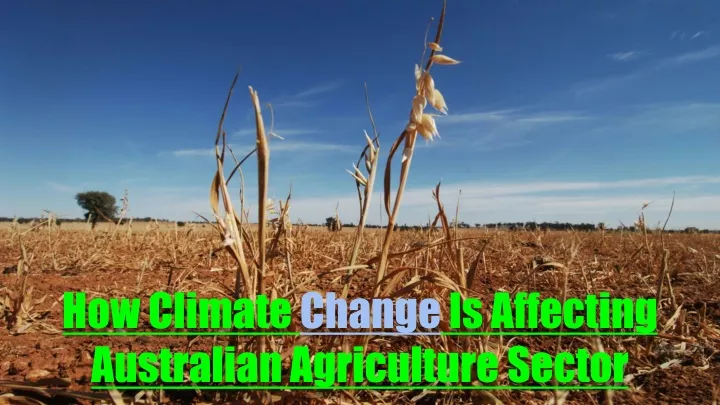 how climate change is affecting australian