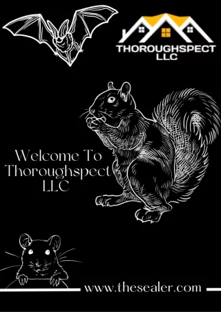 Mouse Removal Near Me - Thoroughspect LLC