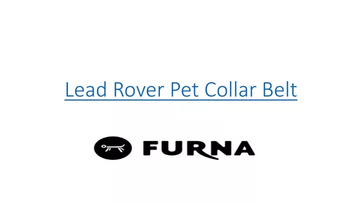 lead rover pet collar belt