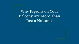 Why Pigeons on Your Balcony Are More Than Just a Nuisance