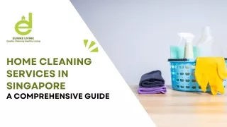 Home Cleaning Services in Singapore:  A Comprehensive Guide