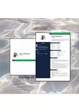 CVHay_Trợ Lý Dự Án