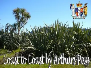 coast to coast by arthurs pass