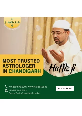 Best Astrologer in Chandigarh (3)