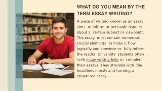 What do you mean by the term essay writing