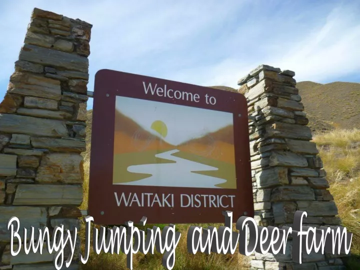 bungy jumping and deer farm