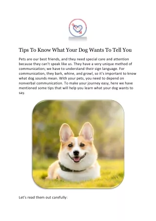 Tips To Know What Your Dog Wants To Tell You