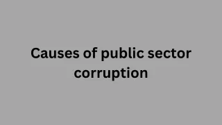 causes of public sector corruption
