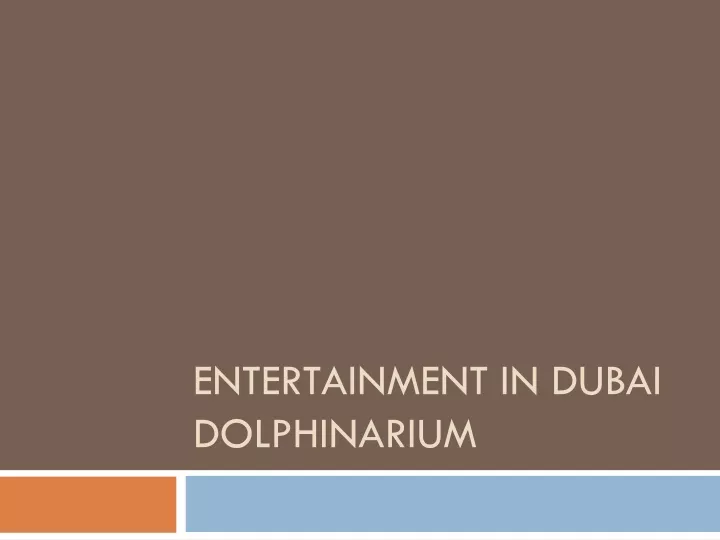 entertainment in dubai dolphinarium