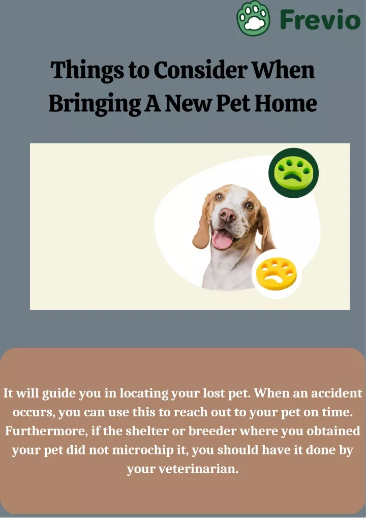 things to consider when bringing a new pet home