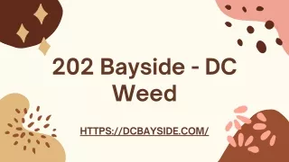 202 bayside dc weed