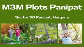 m3m plots panipat