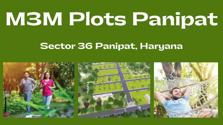 m3m plots panipat