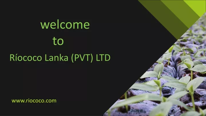 welcome to r ococo lanka pvt ltd