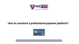 how to construct a professional payment platform