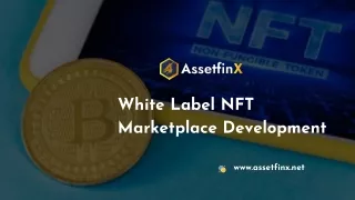 white label nft marketplace development