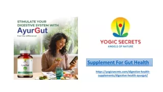 Supplement For Gut Health