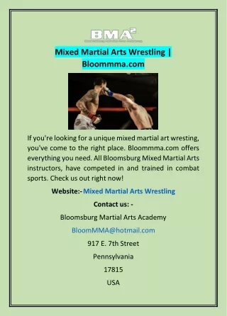 Mixed Martial Arts Wrestling | Bloommma.com