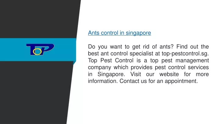 ants control in singapore do you want