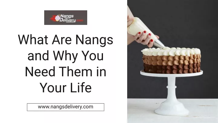 what are nangs and why you need them in your life