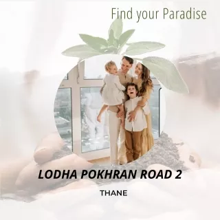 find your paradise