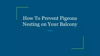 How To Prevent Pigeons Nesting on Your Balcony