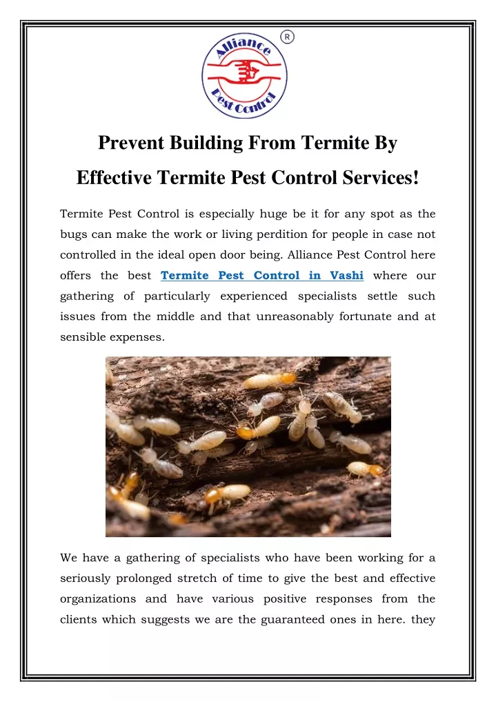 prevent building from termite by