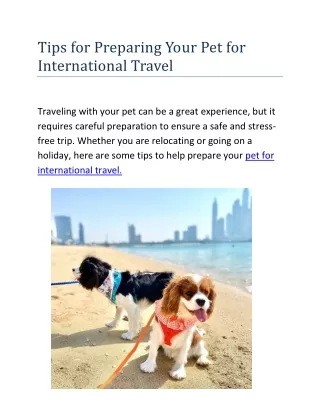 Tips for Preparing Your Pet for International Travel