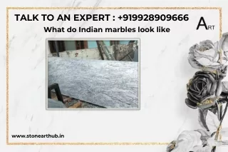 talk to an expert 919928909666