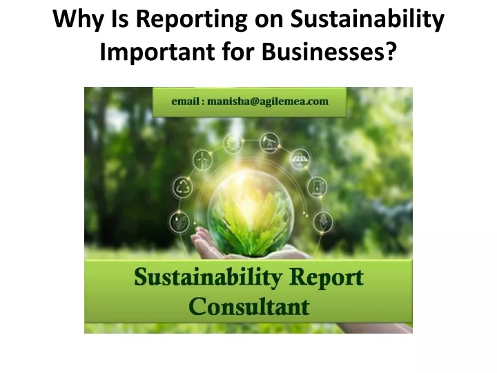 why is reporting on sustainability important for businesses