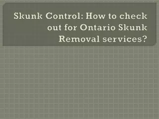 Skunk Control: How to check out for Ontario Skunk Removal services?