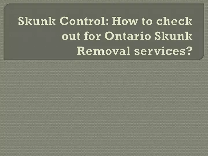 skunk control how to check out for ontario skunk removal services