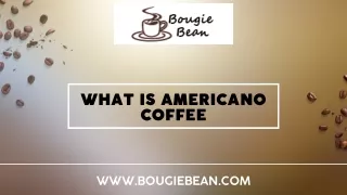 What Is Coffee Americano? Learn More About in This Blog