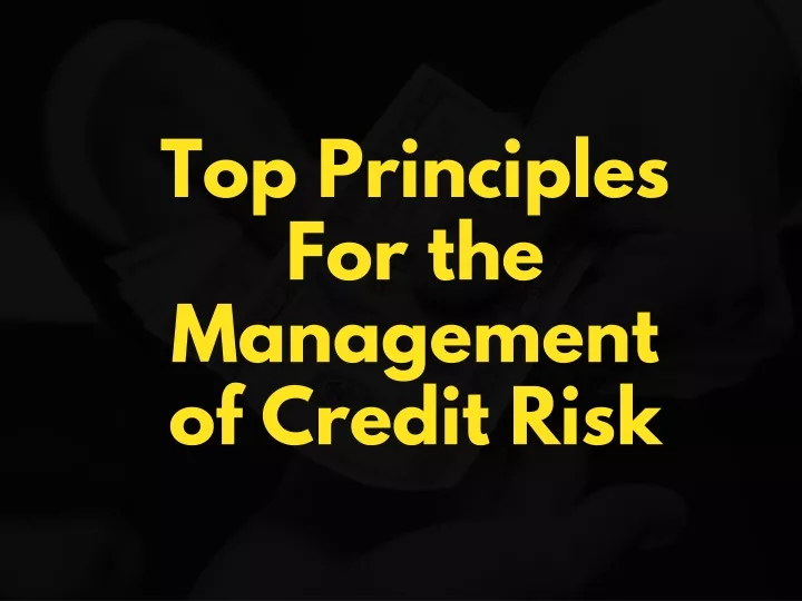 top principles for the management of credit risk