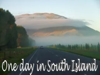 one day in south island