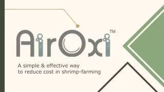 AIROXI - A simple way to reduce cost in shrimp culture