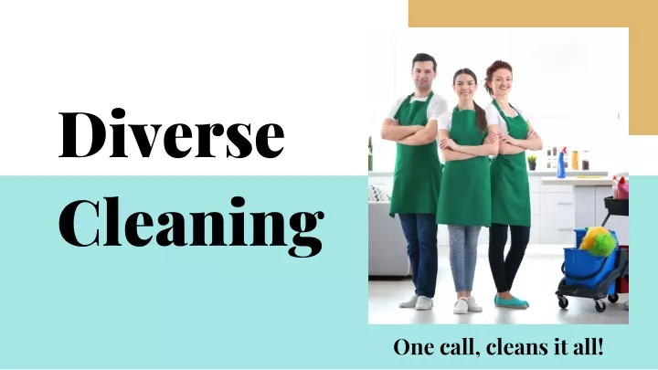 diverse cleaning