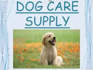 Copious puppy supplies with the filled beneficiary.