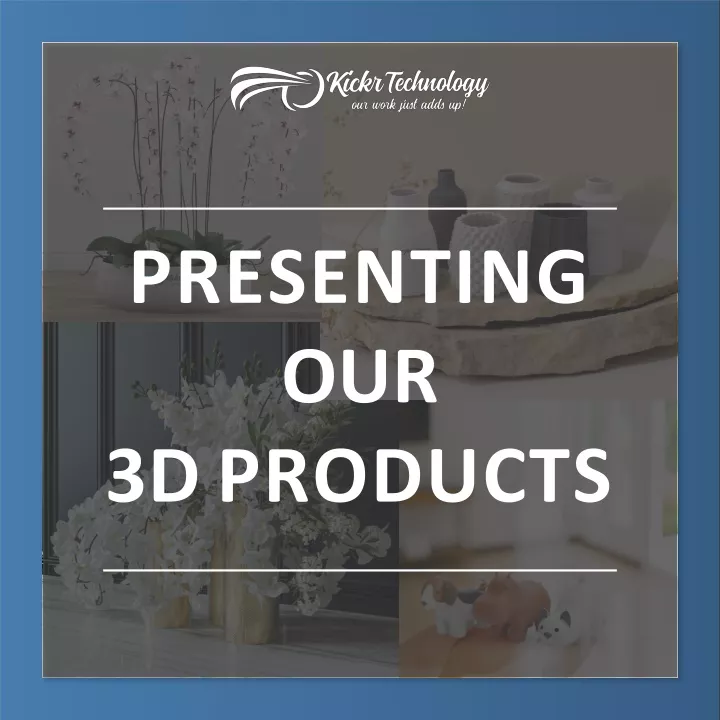 presenting our 3d products