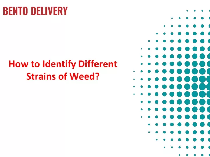 how to identify different strains of weed