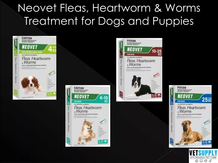 neovet fleas heartworm worms treatment for dogs