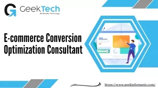 eCommerce Conversion Optimization Consultant | Geek Tech