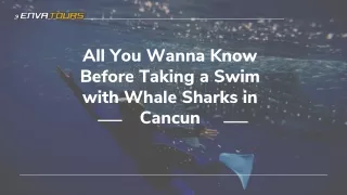 All You Wanna Know Before Taking a Swim with Whale Sharks in Cancun
