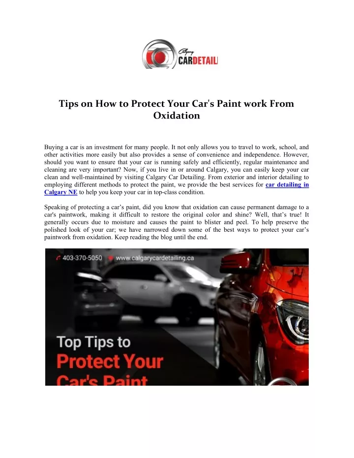 tips on how to protect your car s paint work from