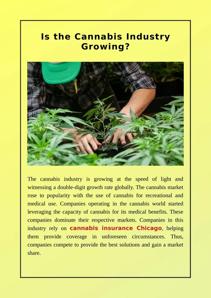 is the cannabis industry growing
