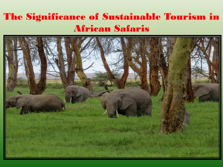 the significance of sustainable tourism