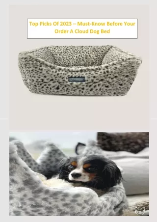 Top Picks Of 2023 – Must-Know Before Your Order A Cloud Dog Bed